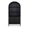 Moe's Home Collection Wilde Display Cabinet In Black