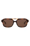 Mohala Eyewear Hanalei 55mm Medium Nose Bridge Wide Width Polarized Top Bar Sunglasses In Brown