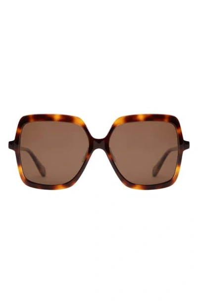 Mohala Eyewear Kilikina Polarized Contourbridge™ Square Sunglasses In Brown