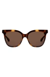Mohala Eyewear Mahina 56mm Low Bridge Wide Width Polarized Cat Eye Sunglasses In Tiger Eye Tortoise/tan Lenses