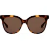 Mohala Eyewear Mahina 56mm Medium Bridge Wide Width Polarized Cat Eye Sunglasses In Brown