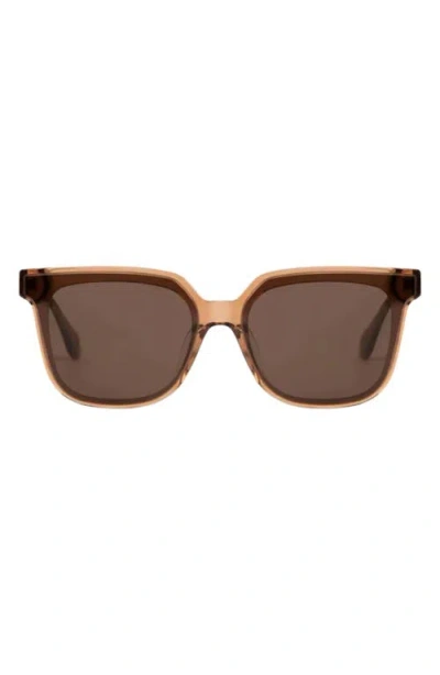 Mohala Eyewear Malia 55mm Low Nose Bridge Wide Width Square Sunglasses In Brown