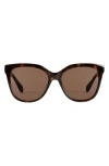 Mohala Eyewear Pikake Medium Bridge Medium Width 55mm Polarized Cat Eye Sunglasses