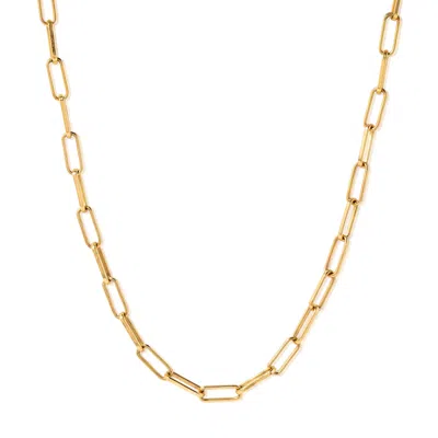 Molly Olivia Women's Gold Paperclip Necklace