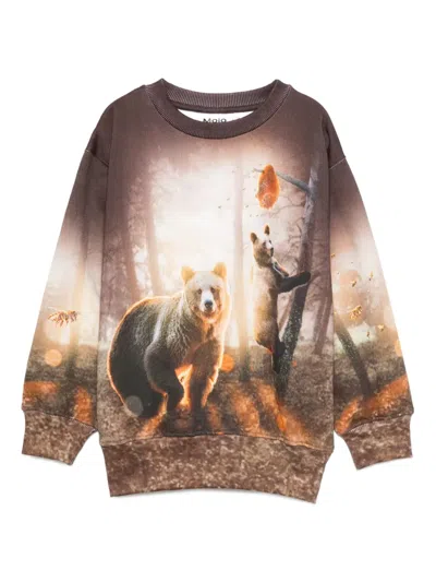 Molo Kids' Bear-print Long-sleeves Sweatshirt In Brown