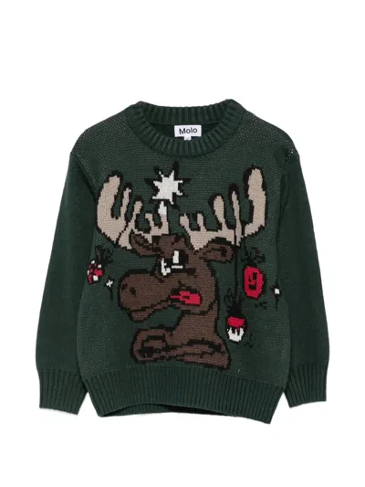 Molo Kids' Bello Intarsia-knit Moose Sweater In Green