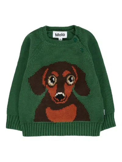 Molo "bless" Jumper In Green