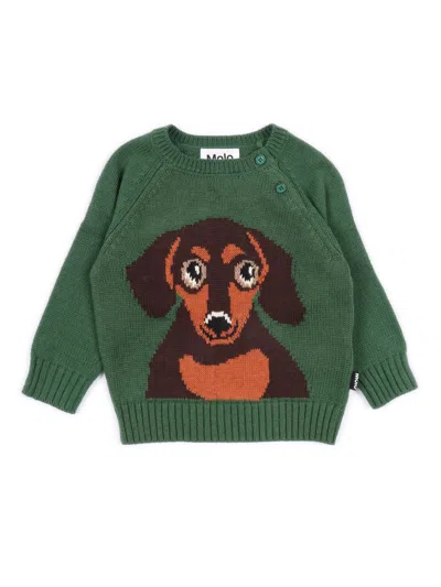 Molo Kids'  Bless Jumpers In Green