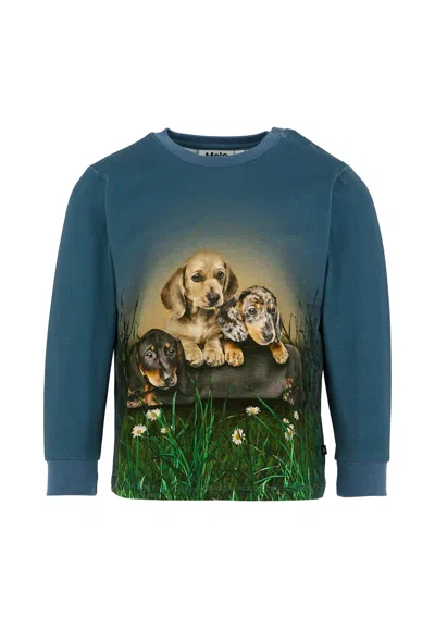 Molo Kids' Blue T-shirt For Boy With Dog