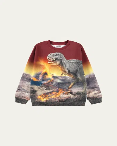 Molo Kids' Boy's Miksi Sweatshirt In Gray