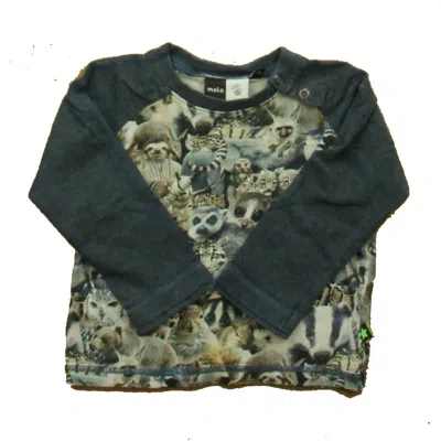 Molo Kids' Boys Blue Gray Aninals Long Sleeve T-shirt In Green