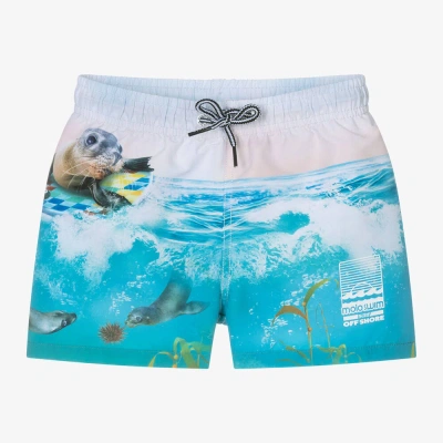Molo Kids' Boys Blue Sea Lion Swim Shorts (upf50+)