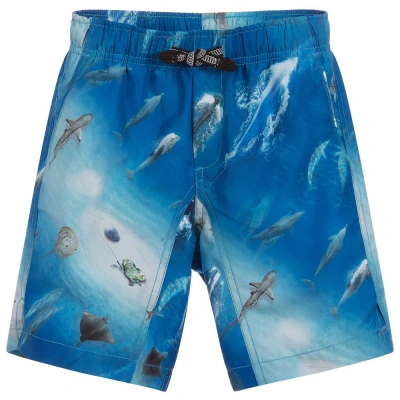 Molo Babies' Boys Blue Swim Shorts (upf50+)