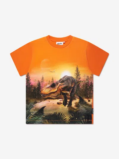 Molo Kids' Boys Dino Lake T-shirt In Orange