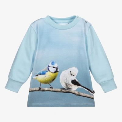 Molo Babies' Boys Pale Blue Organic Cotton Top