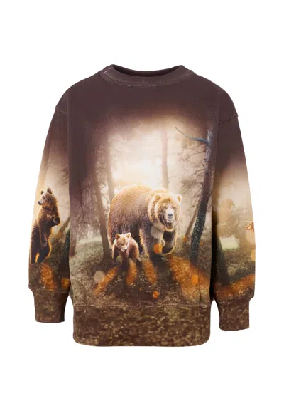 Molo Kids' Brown Sweatshirt For Boy With Bear