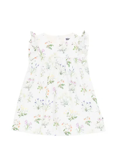 Molo Babies' Cacao Ruffled Floral Dress In Neutral