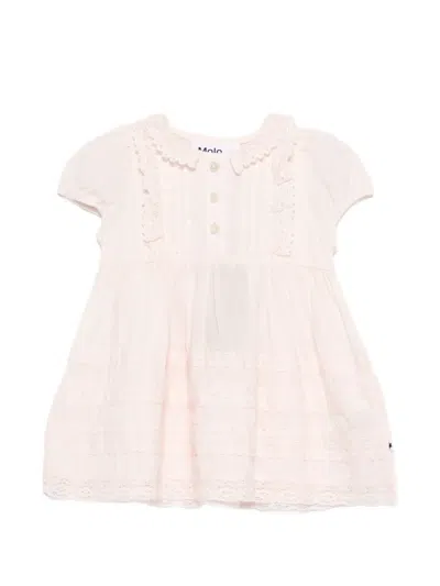 Molo Babies' Carnation Lace Collared Dress In Pink