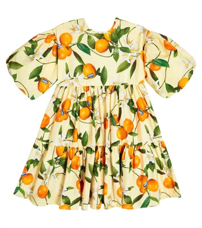 Molo Kids' Casta Fruit-print Dress In Neutrals