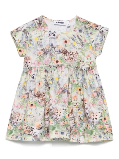 Molo Babies' Channi Dress In 绿色