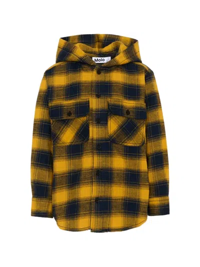Molo Kids' Check-pattern Hooded Shirt In Brown