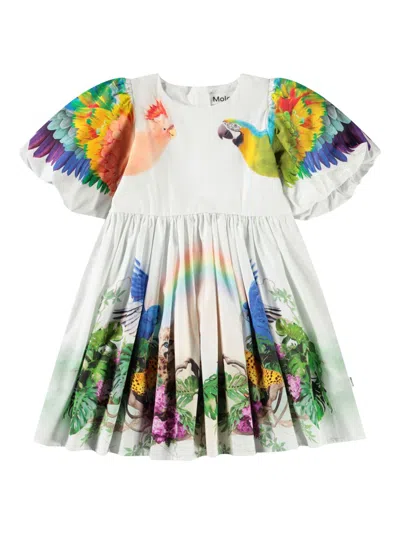 Molo Kids' Chica Dress In White