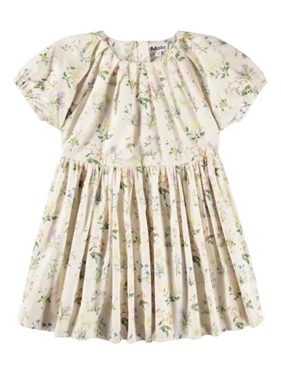 Molo Kids' Christen Puff-sleeve Floral Dress In Neutral