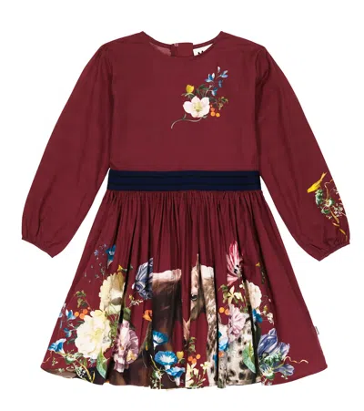 Molo Kids' Christine Printed Cotton-blend Dress In Flora Horse
