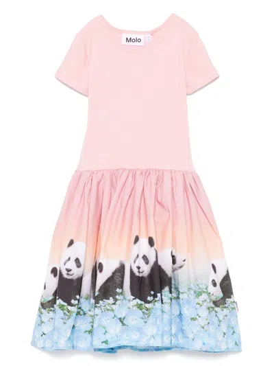 Molo Kids' Cissa Dress In Pink