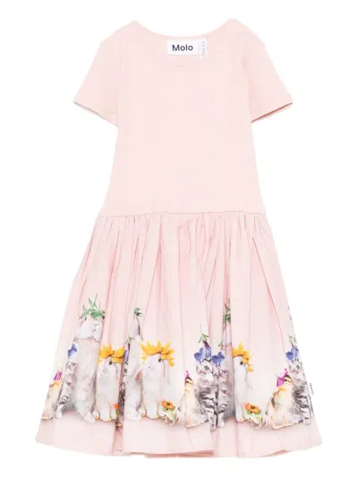 Molo Kids' Cissa Floral-print Dress In Pink