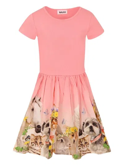 Molo Cissa Short Sleeves Dress In Pink