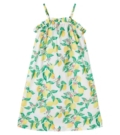 Molo Kids' Connie Printed Cotton Dress In Green