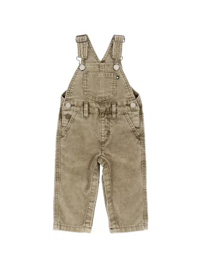 Molo Babies' Corduroy-texture Dungarees In Brown