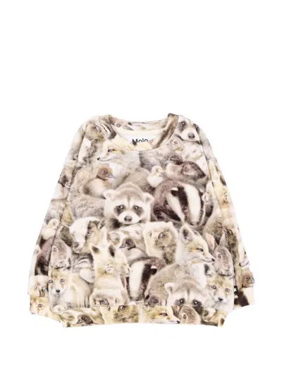 Molo Babies' Dear Sweater In Neutrals