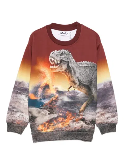 Molo Kids' Dinosaur-print Sweatshirt In Brown