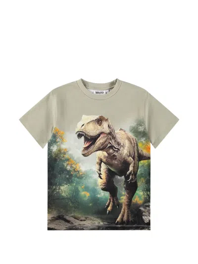 Molo Kids' Dinosaur-print Short-sleeve T-shirt In Multi