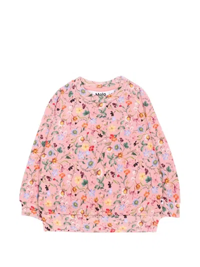 Molo Babies' Disc Floral-print Sweater In Pink