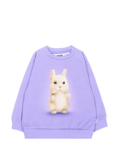 Molo Babies' Disc Rabbit-print Sweatshirt In Purple
