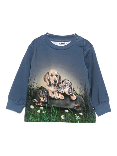 Molo Babies' Dog-print Top In Blue