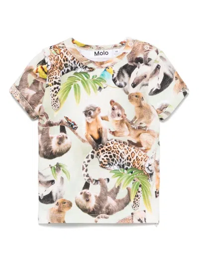 Molo Babies' Easy T-shirt In Grün