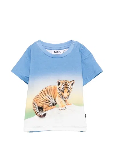 Molo Babies' Enzo Tiger-print T-shirt In Blue