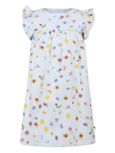 Molo Kids' Floral-print Dress In Blue