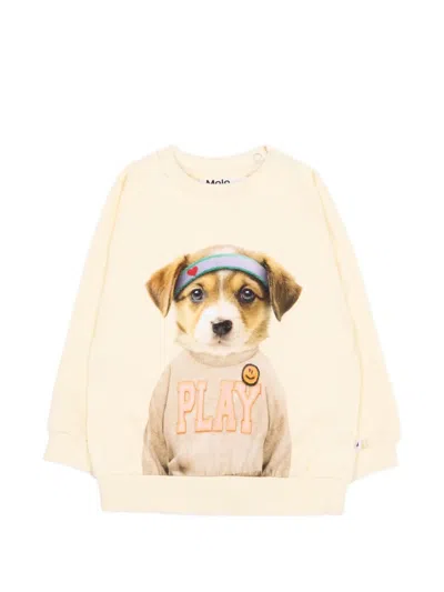Molo Babies' Dog-print Sweater In Neutral