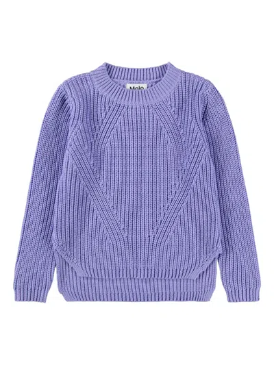 Molo Kids' Gillis Crew-neck Sweater In Purple