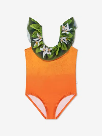 Molo Babies' Girls Ruffle Detail Nika Swimsuit In Orange