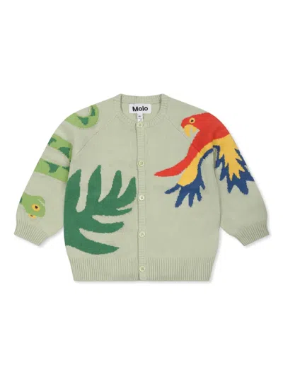 Molo Babies' Graphic-print Cardigan In Green