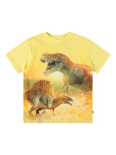 Molo Kids' Graphic-print T-shirt In Orange