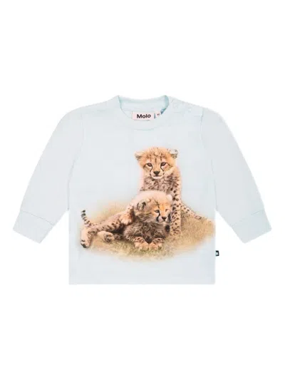 Molo Babies' Graphic-print T-shirt In Blue