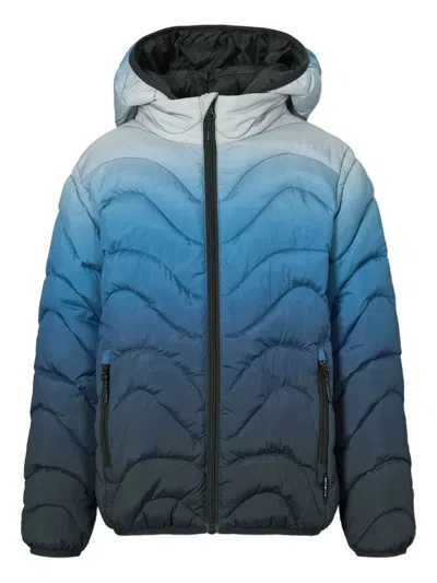 Molo Kids' Hao Padded Jacket In Blue