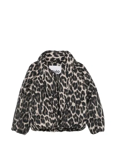 Molo Kids' Heylee Leopard-print Padded Jacket In Neutrals